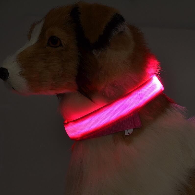Coleira de LED para PET - PET GLOW - MULTILYS